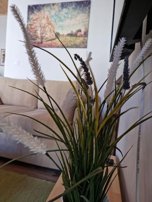Gs Home Γύθειο Εξωτερικό φωτογραφία